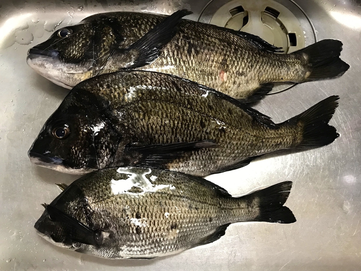 f:id:bowmore2011:20190602155145j:plain