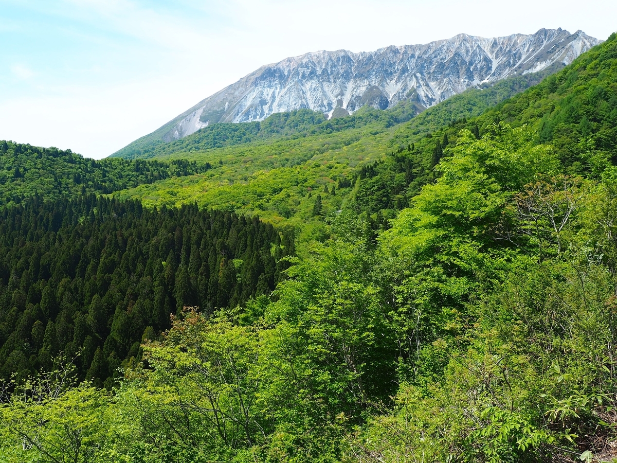 f:id:bowmore2011:20190602163427j:plain