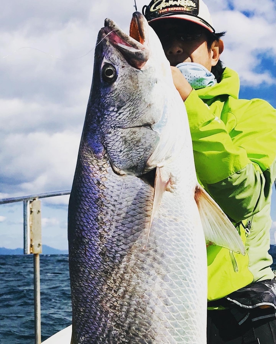 f:id:bowmore2011:20211123144910j:plain