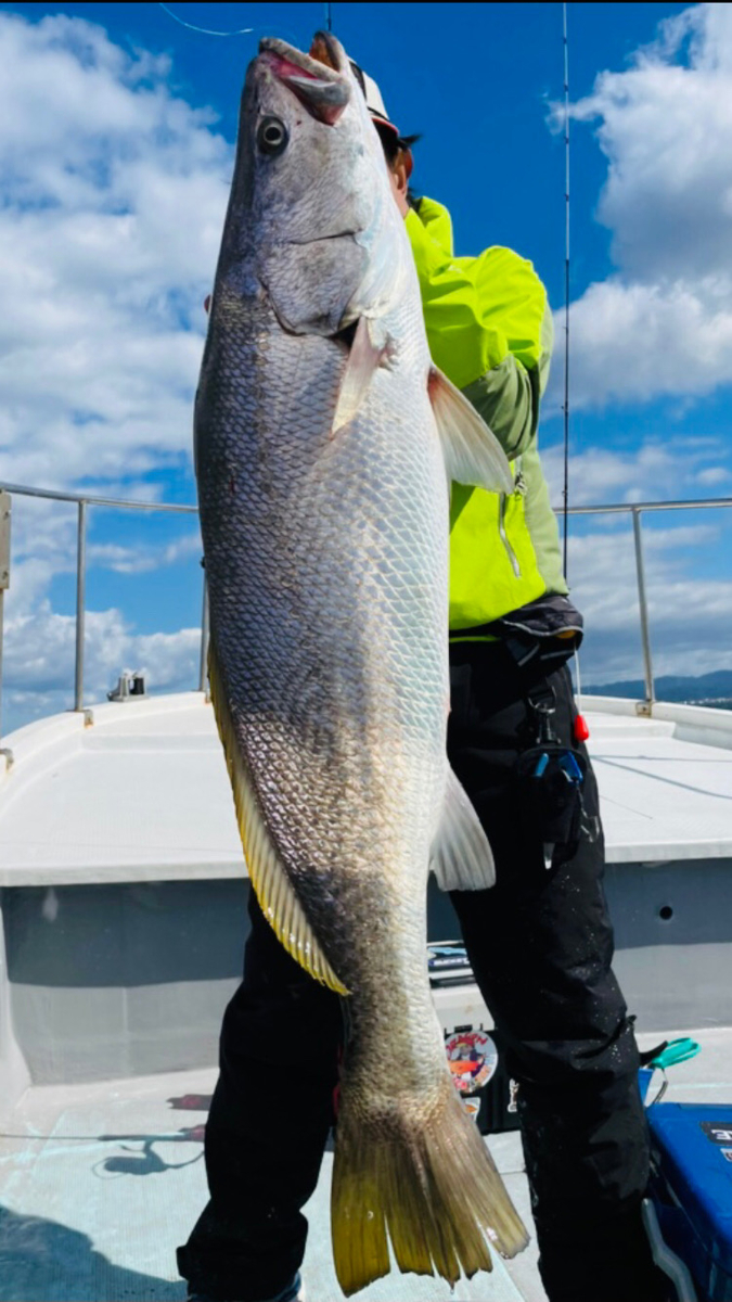 f:id:bowmore2011:20211123145011j:plain