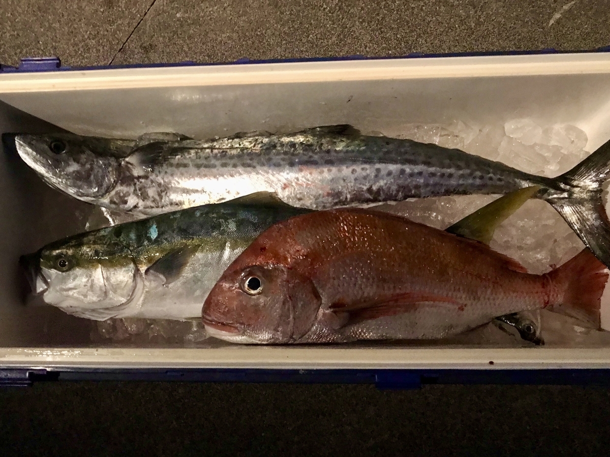 f:id:bowmore2011:20211123145022j:plain