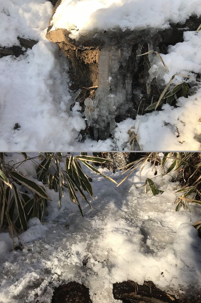 f:id:bowwow00:20190310200031j:plain f:id:bowwow00:20190310200031j:plain