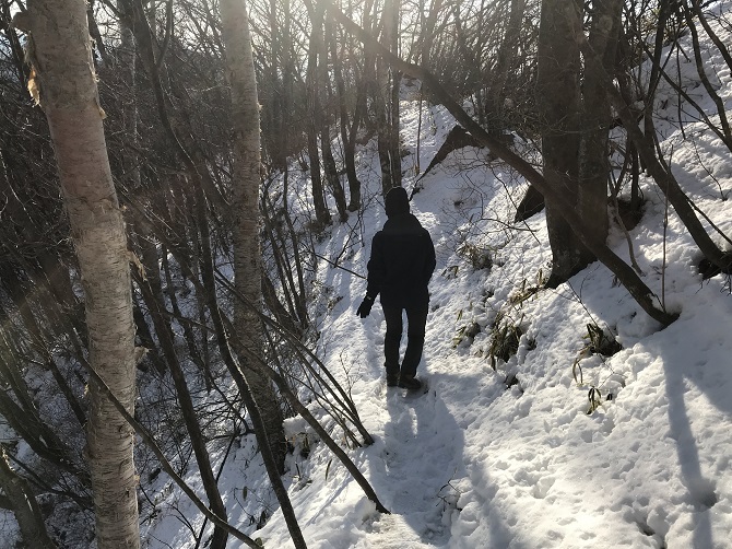 f:id:bowwow00:20190310201751j:plain f:id:bowwow00:20190310201751j:plain