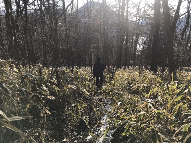 f:id:bowwow00:20190310201923j:plain f:id:bowwow00:20190310201923j:plain