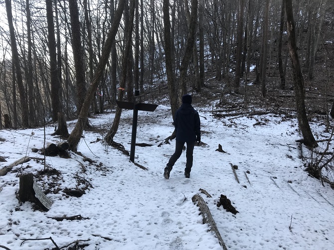 f:id:bowwow00:20190310202210j:plain f:id:bowwow00:20190310202210j:plain
