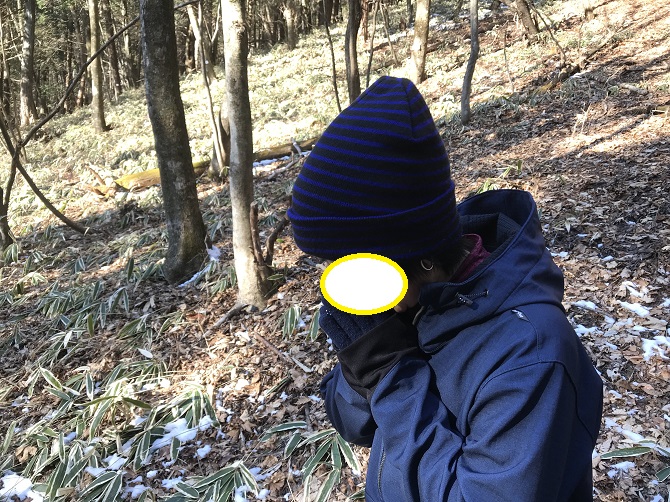 f:id:bowwow00:20190310202252j:plain f:id:bowwow00:20190310202252j:plain