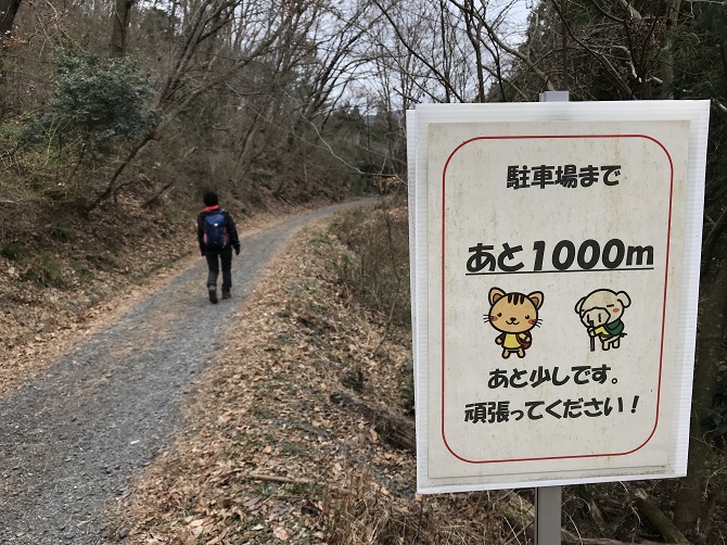 f:id:bowwow00:20190330122147j:plain
