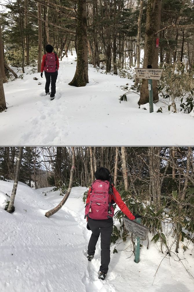 f:id:bowwow00:20190407094429j:plain f:id:bowwow00:20190407094429j:plain