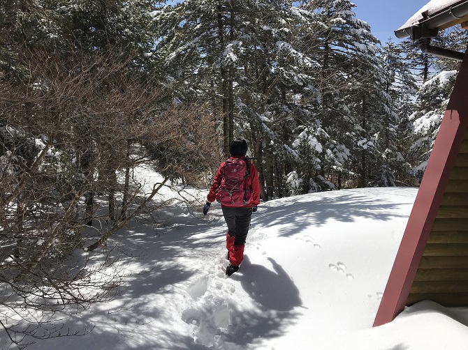 f:id:bowwow00:20190407123945j:plain f:id:bowwow00:20190407123945j:plain