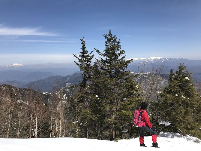 f:id:bowwow00:20190407124711j:plain f:id:bowwow00:20190407124711j:plain