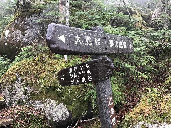 f:id:bowwow00:20190618134134j:plain f:id:bowwow00:20190618134134j:plain