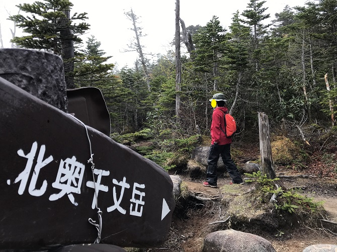 f:id:bowwow00:20190618155112j:plain f:id:bowwow00:20190618155112j:plain