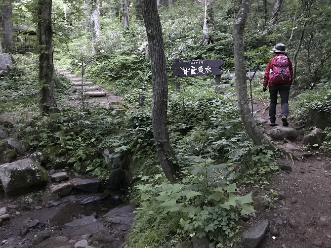 f:id:bowwow00:20190718205158j:plain f:id:bowwow00:20190718205158j:plain