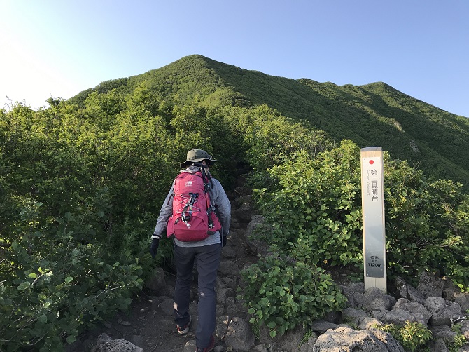 f:id:bowwow00:20190718213508j:plain f:id:bowwow00:20190718213508j:plain