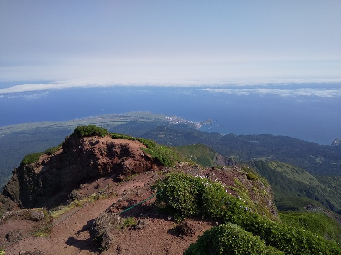 f:id:bowwow00:20190719080626j:plain f:id:bowwow00:20190719080626j:plain