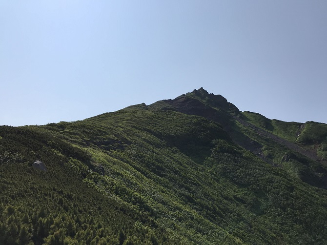 f:id:bowwow00:20190719103930j:plain f:id:bowwow00:20190719103930j:plain
