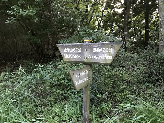 f:id:bowwow00:20190903094618j:plain
