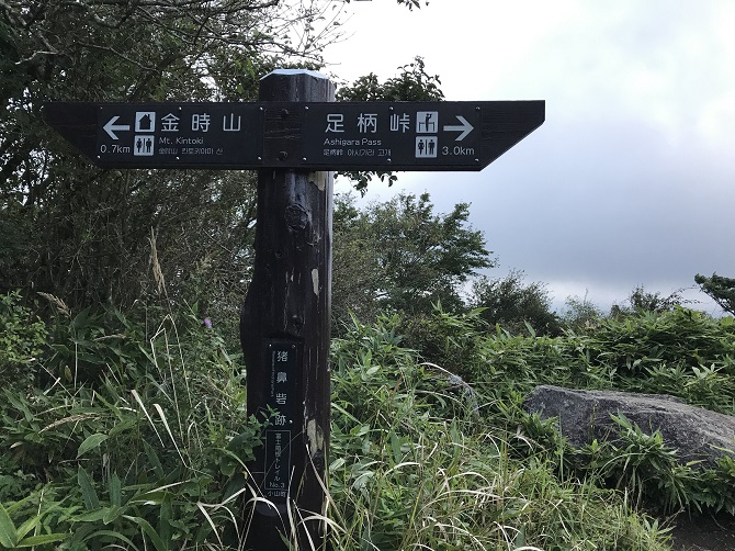 f:id:bowwow00:20190903095104j:plain