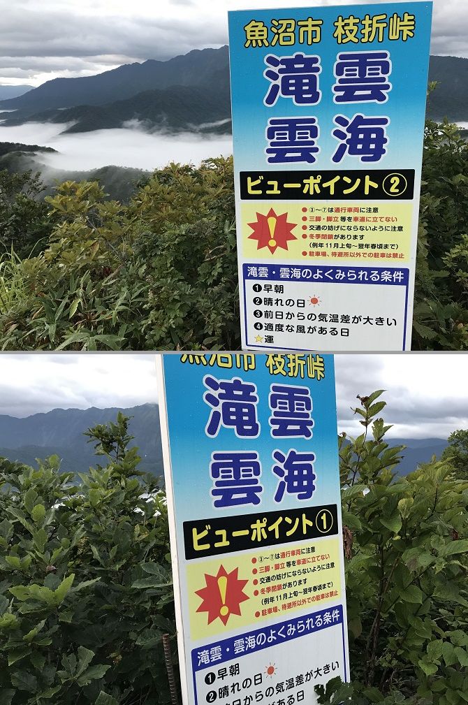 f:id:bowwow00:20190911085923j:plain