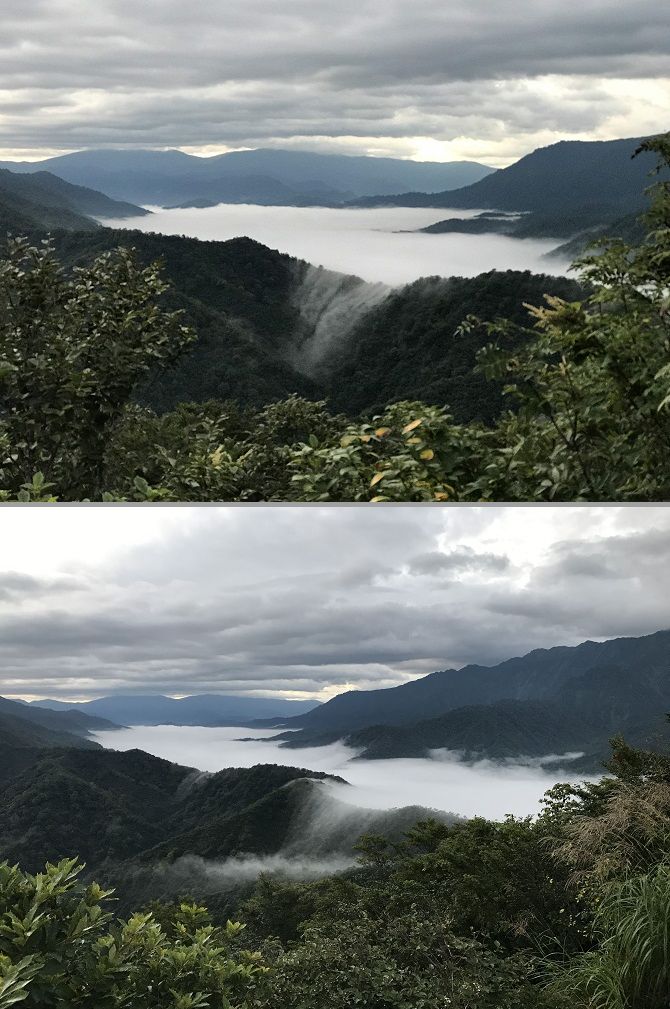 f:id:bowwow00:20190911090007j:plain