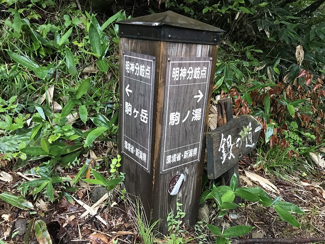 f:id:bowwow00:20190911091344j:plain