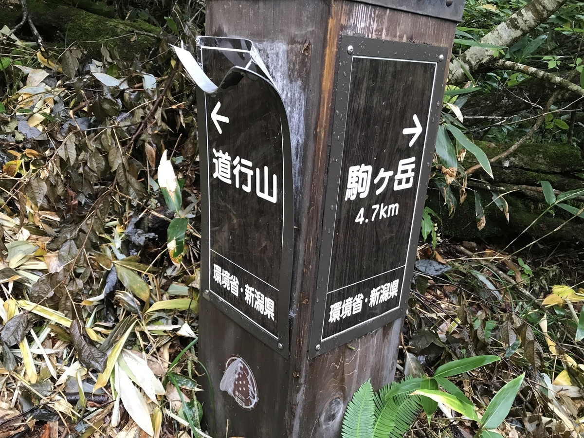f:id:bowwow00:20190911092846j:plain