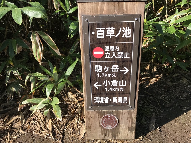 f:id:bowwow00:20190911094618j:plain