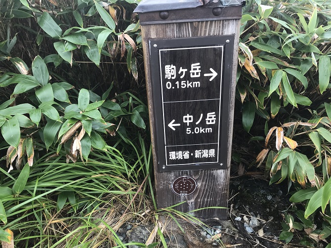 f:id:bowwow00:20190911170725j:plain