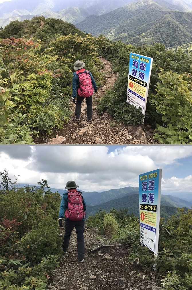 f:id:bowwow00:20190911183534j:plain