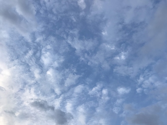 f:id:bowwow00:20191029141634j:plain