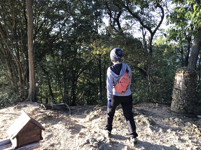 f:id:bowwow00:20191106081132j:plain