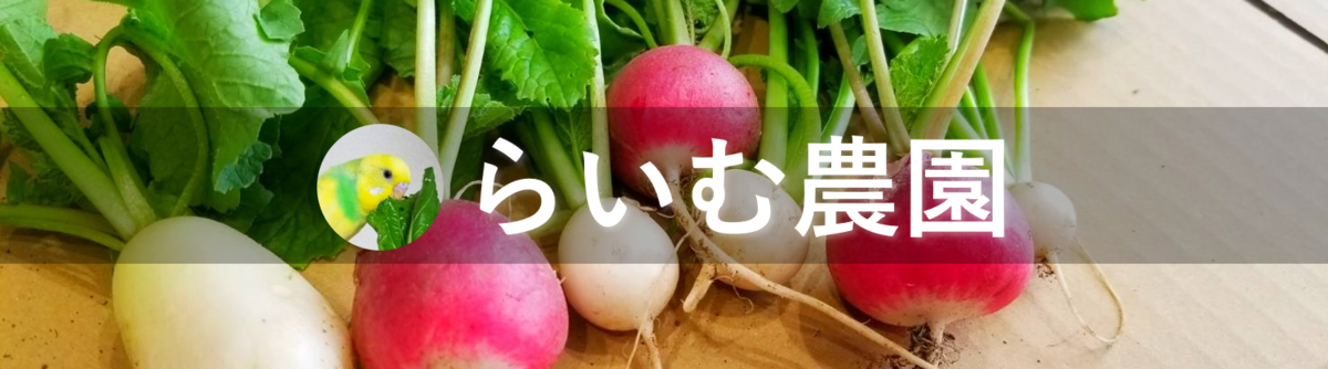 らいむ農園