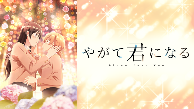 f:id:box__garden:20181218211101p:plain