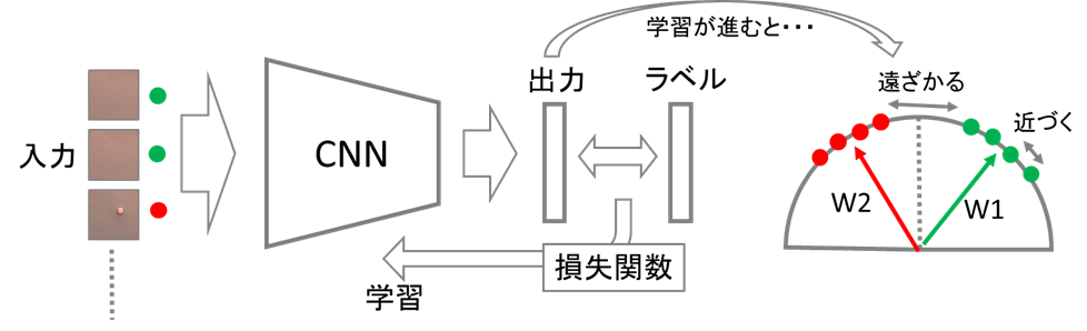 f:id:bp-writer:20201221125044p:plain