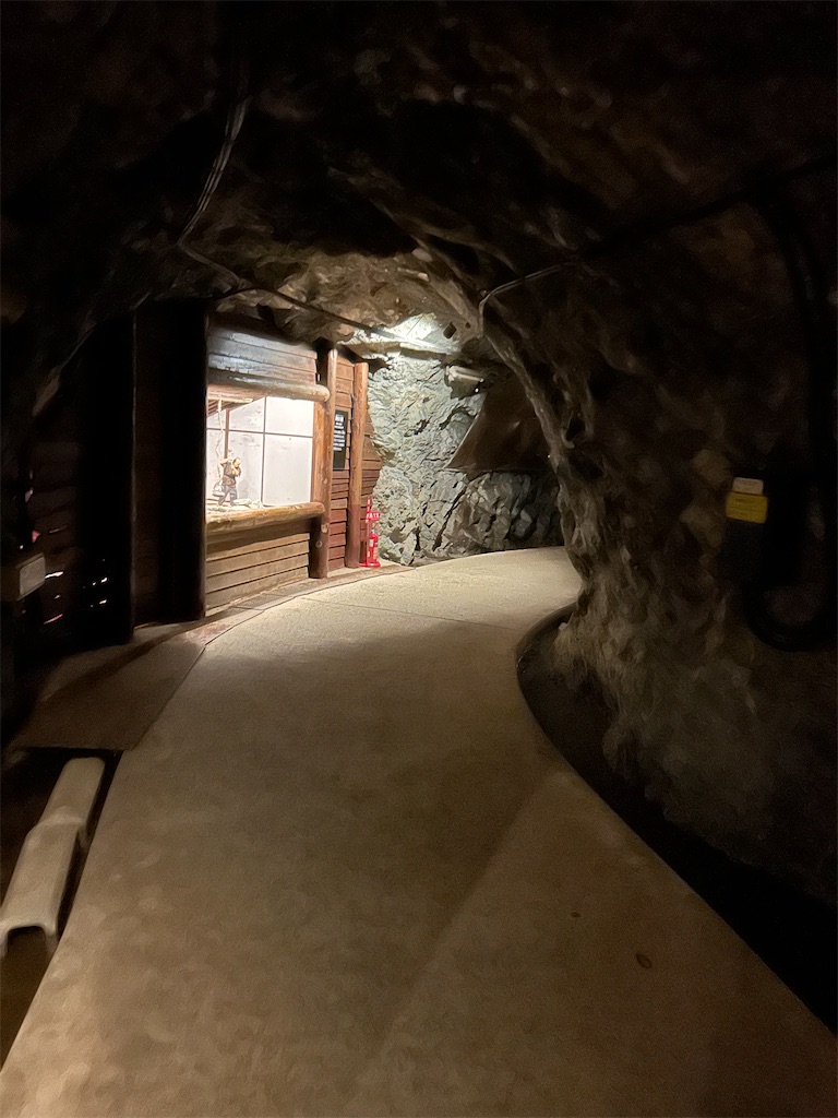 f:id:bpi17080089:20241206225829j:image