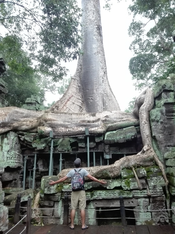 f:id:bpj0236:20190310153550j:plain f:id:bpj0236:20190310153550j:plain