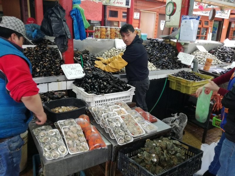 f:id:bpj0236:20190311094634j:plain f:id:bpj0236:20190311094634j:plain
