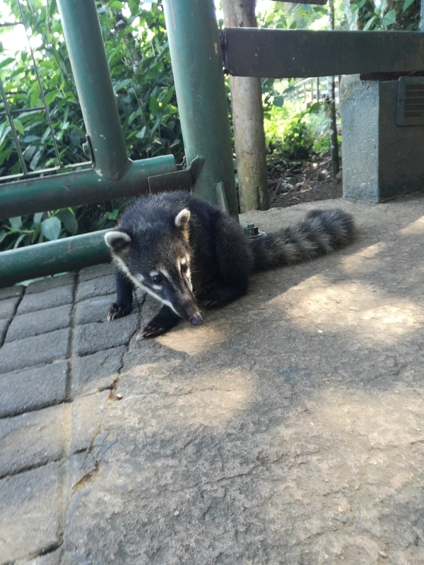 f:id:bpj0236:20190311095535j:plain f:id:bpj0236:20190311095535j:plain