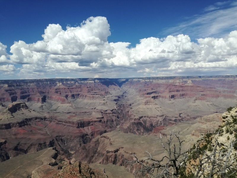f:id:bpj0236:20190312091046j:plain f:id:bpj0236:20190312091046j:plain