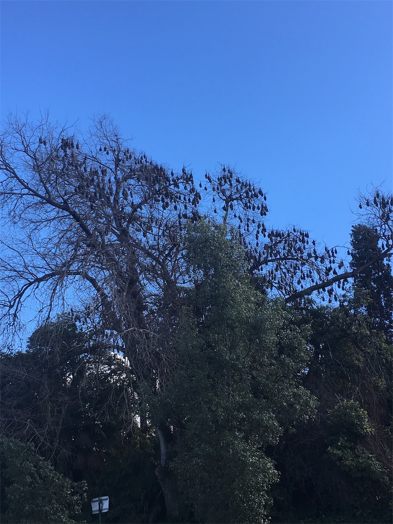 f:id:bpj0236:20190830110452j:image f:id:bpj0236:20190830110452j:image