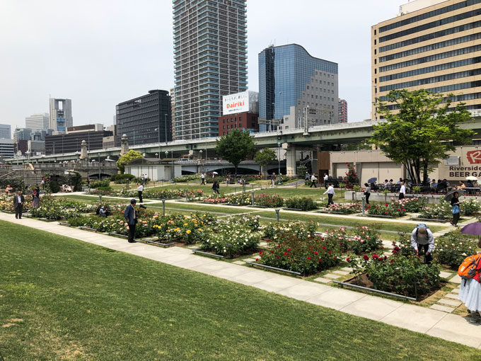 中之島公園の中