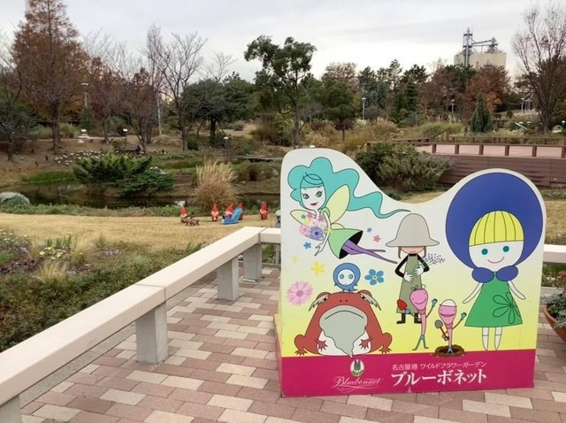 名古屋港ワイルドフラワーガーデンブルーボネット