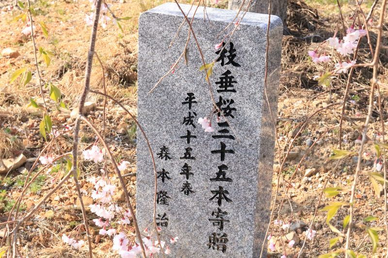 f:id:bq_l:20190412211031j:plain