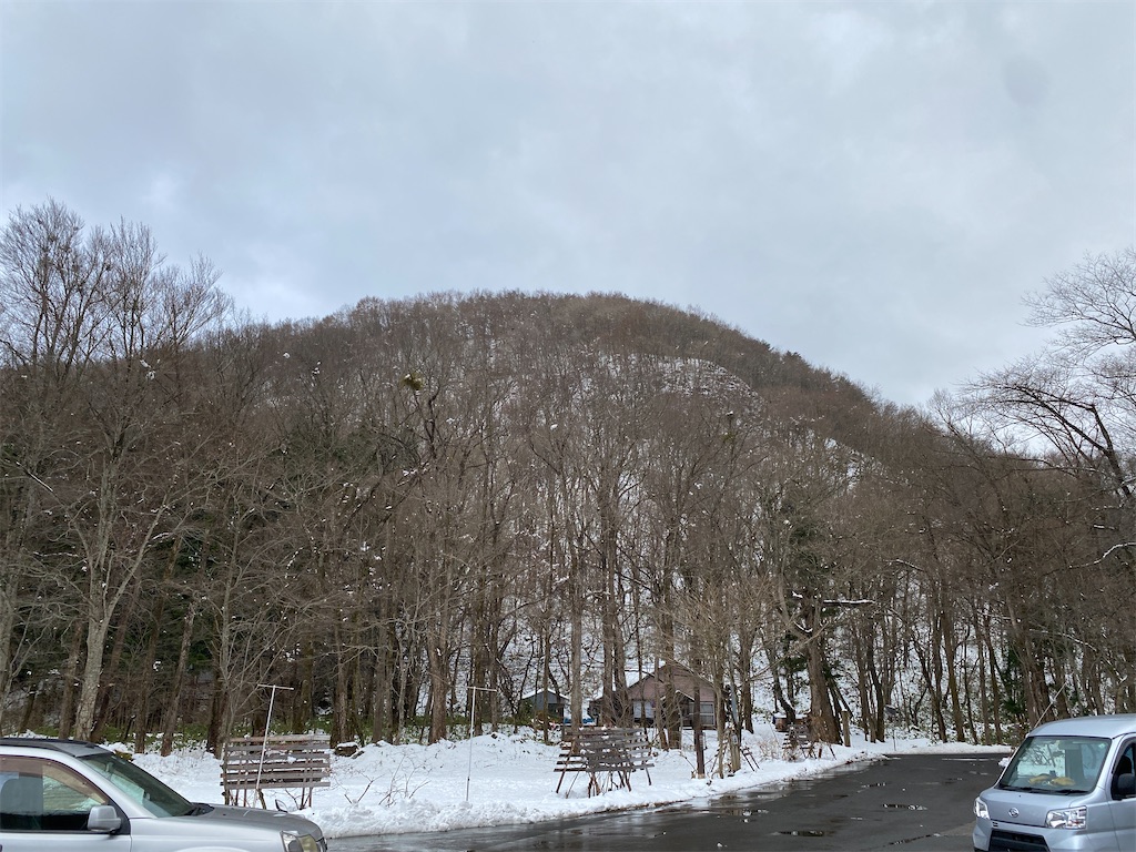 f:id:brachiodesign:20201130114842j:image f:id:brachiodesign:20201130114842j:image