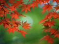 f:id:bragelone:20041031215859:image f:id:bragelone:20041031215859:image