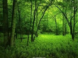f:id:bragelone:20120512062823j:image