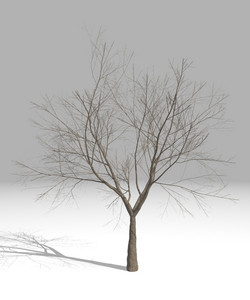 f:id:bragelone:20141211091349j:image