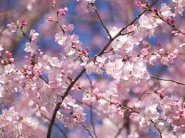 f:id:bragelone:20150328114927j:image:right f:id:bragelone:20150328114927j:image:right