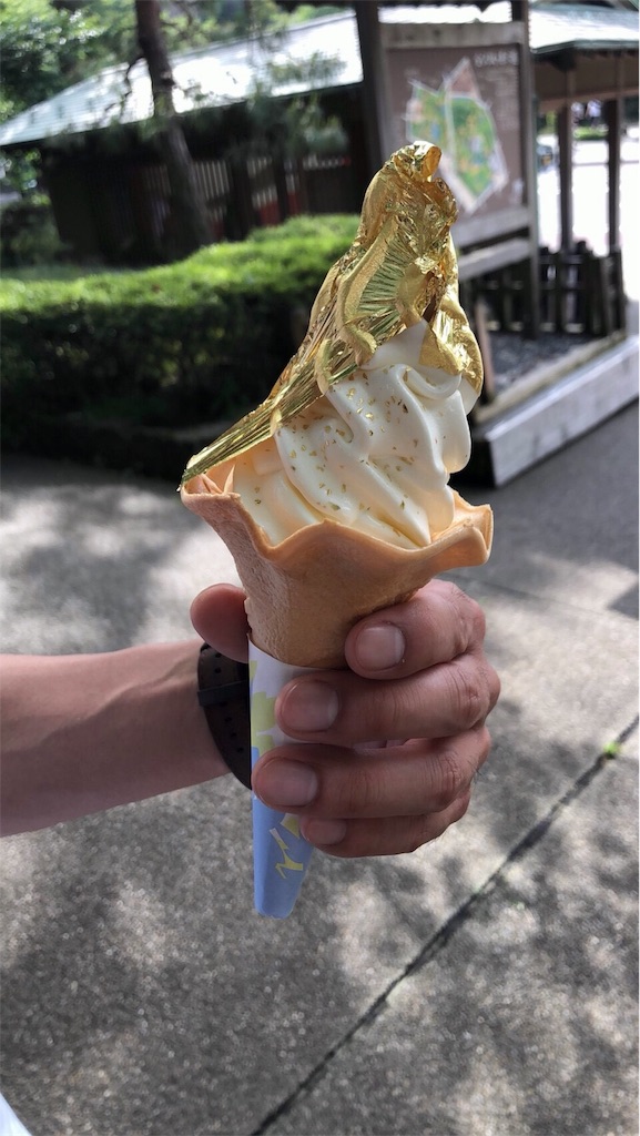 f:id:brain_error:20180520000727j:image