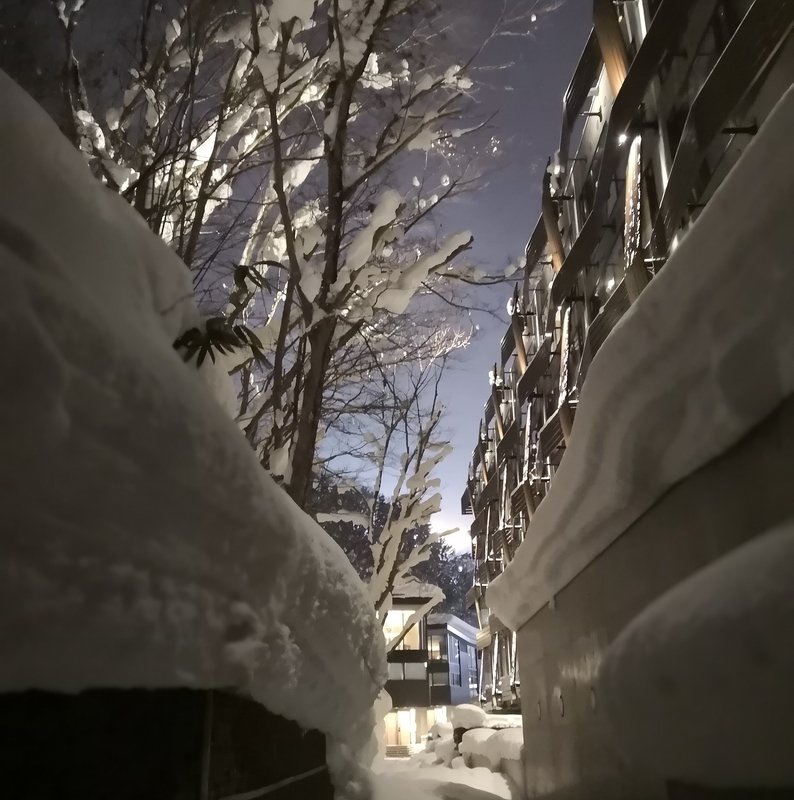f:id:brasserie-avion:20190111072021j:image